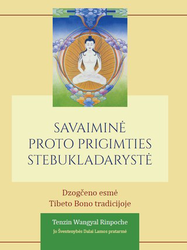Tenzin Wangyal Rinpoche knygos Savaiminė proto prigimties stebukladarystė viršelis